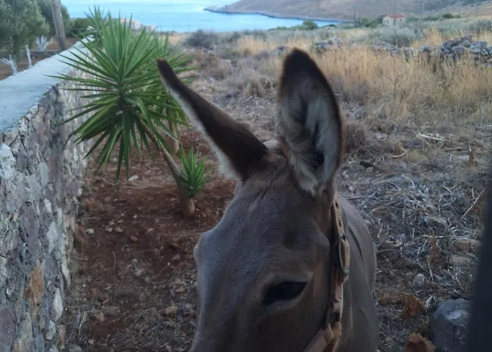 Akrotirio Tainaro House * Marmari (Lakonia)